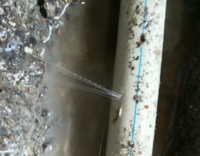 余江测漏水哪家好