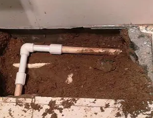 余江测漏水哪家好