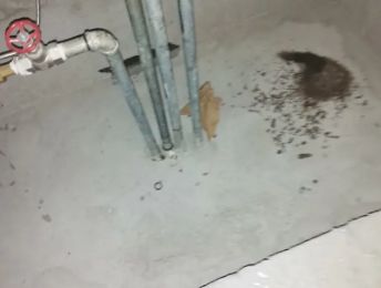 余江卫生间测漏水价格明细