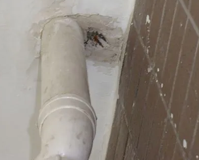 余江漏水检测哪家好